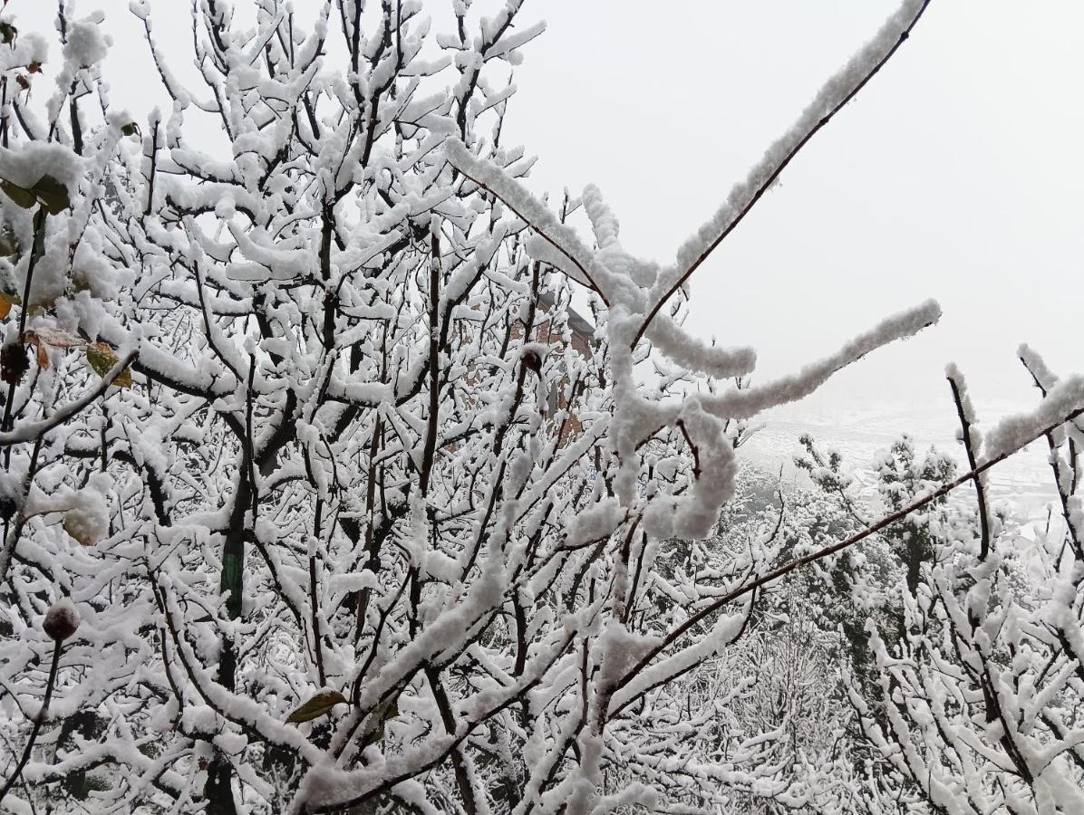 Roop Mountain Homestay Manāli Екстериор снимка